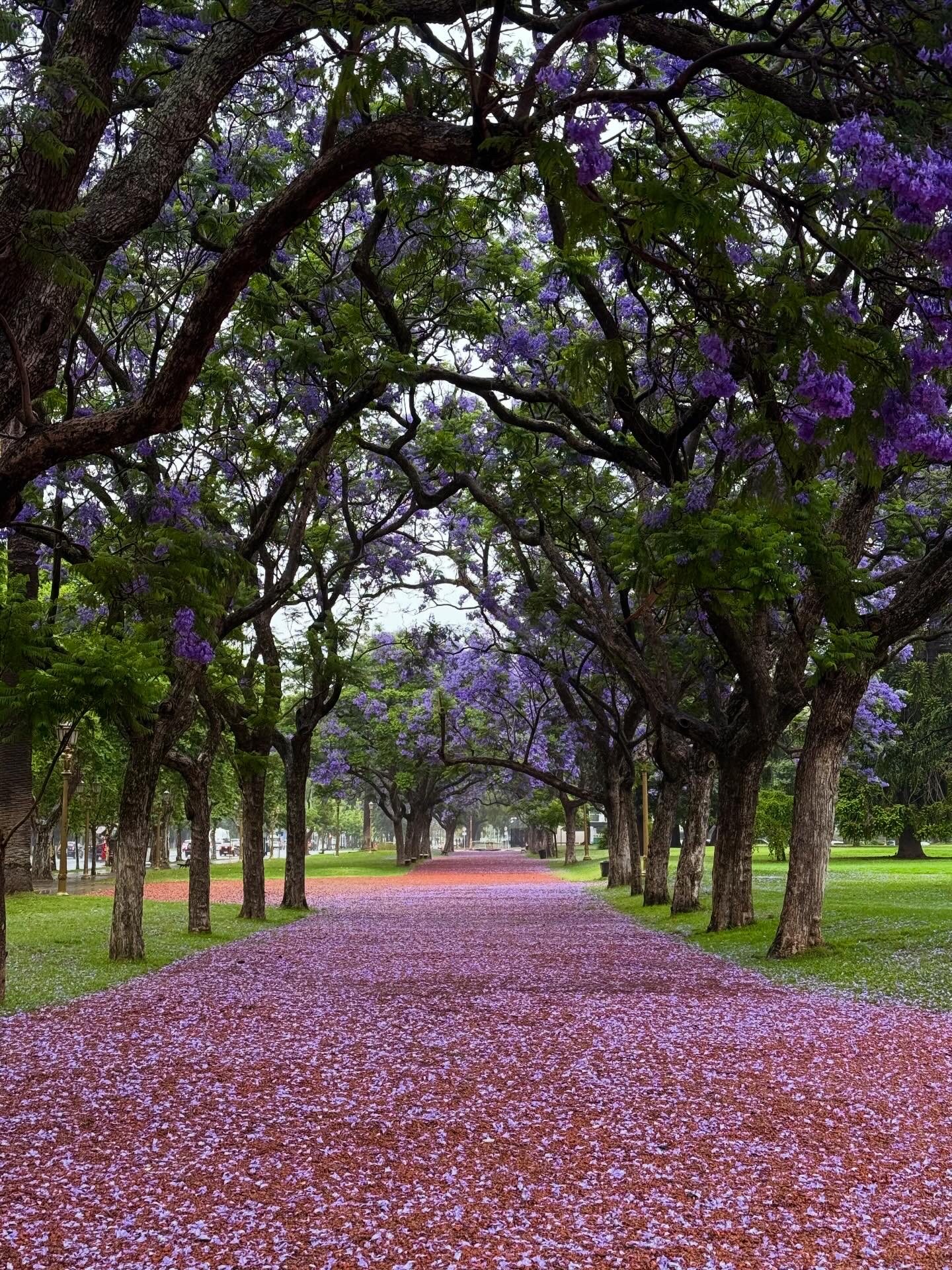 5 Days In Buenos Aires