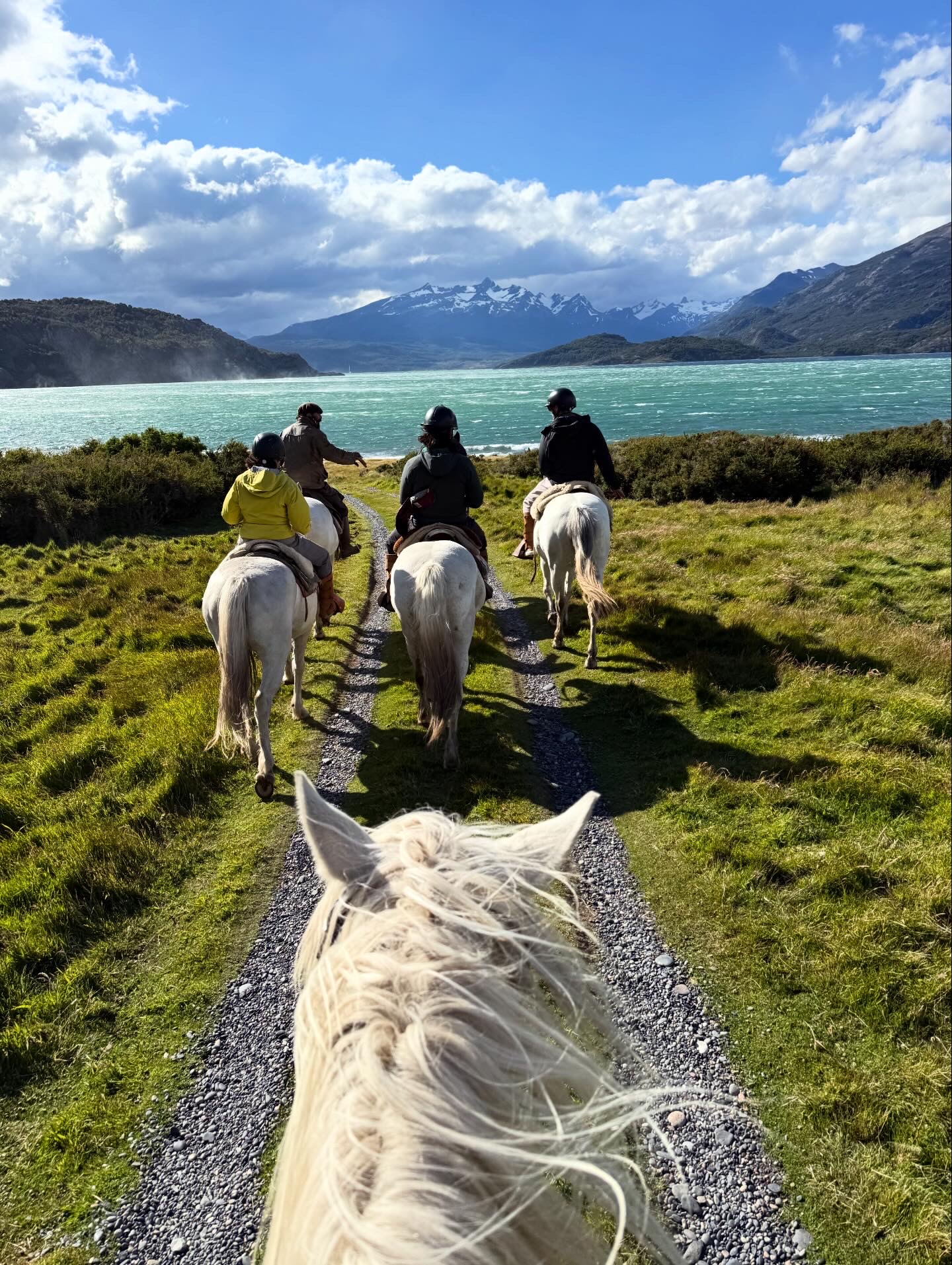 New Years At Estancia La Peninsula & Last Days in Puerto Natales